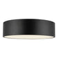 Brisbane 16-in Flush Mount