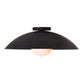 Exterior Danoise Ceiling Light