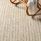 Pompano Rug in Snow