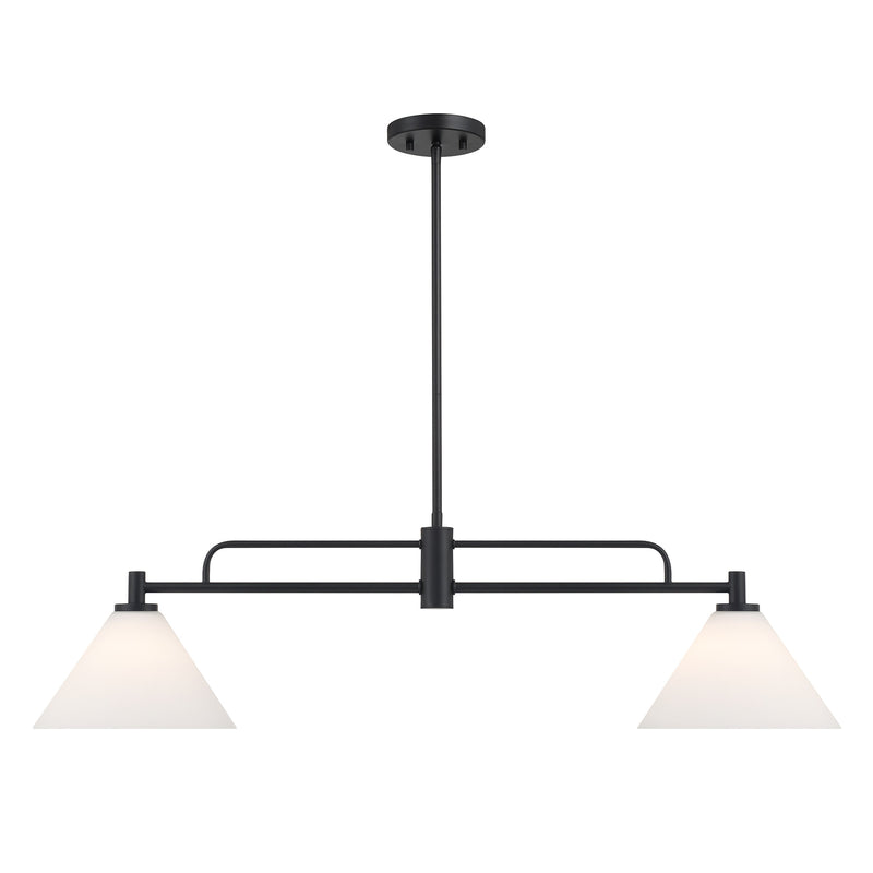 Frame 2-Light Linear Chandelier