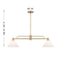 Frame 2-Light Linear Chandelier