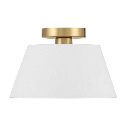 Echo 1-Light Ceiling Light