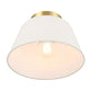 Echo 1-Light Ceiling Light