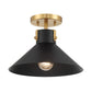 Etoile 1-Light Ceiling Light