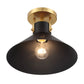 Etoile 1-Light Ceiling Light
