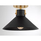 Etoile 1-Light Ceiling Light