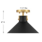Etoile 1-Light Ceiling Light