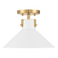 Etoile 1-Light Ceiling Light
