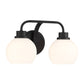 Eden 2-Light Bathroom Vanity Light