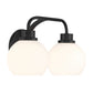 Eden 2-Light Bathroom Vanity Light