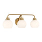 Eden 3-Light Bathroom Vanity Light