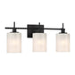 Astra 3-Light Bathroom Vanity Light