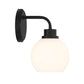 Nomi 1-Light Wall Sconce