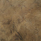 Acacia Canvas Art