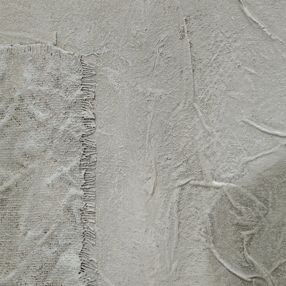 Sesamo Canvas Art