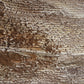 Corallo Canvas Art