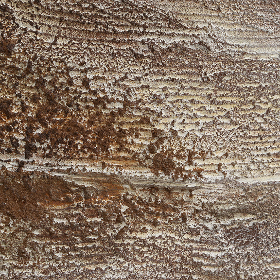 Corallo Canvas Art