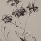 Adeline Printed Art (Set of 2)