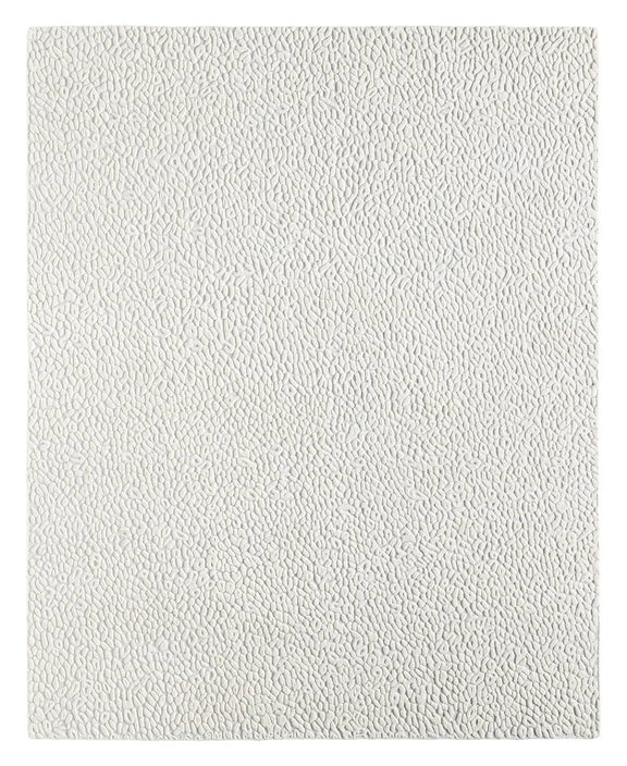 SCW10