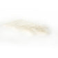 Lalo Lambskin Throw - White Lambskin