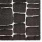 TAZ02_3