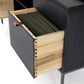 Trey Modular Filing Credenza - Black Wash Poplar