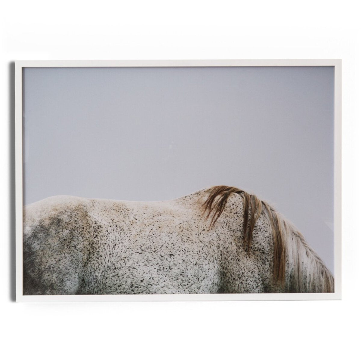 Graze - White Maple