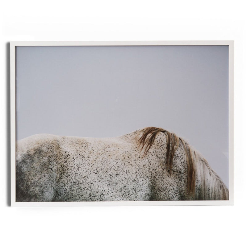 Graze - White Maple