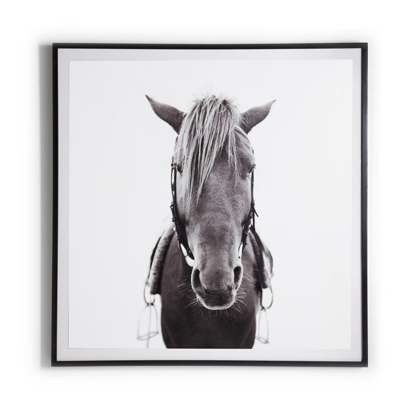 Horse - Black Maple