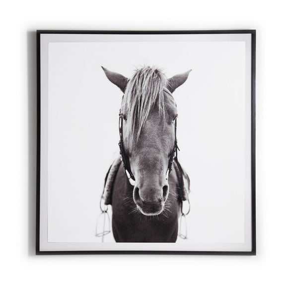 Horse - Black Maple