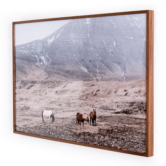 Wild Horses - Walnut 2.5
