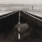 Open Road by Kelly Colchin - Black Maple