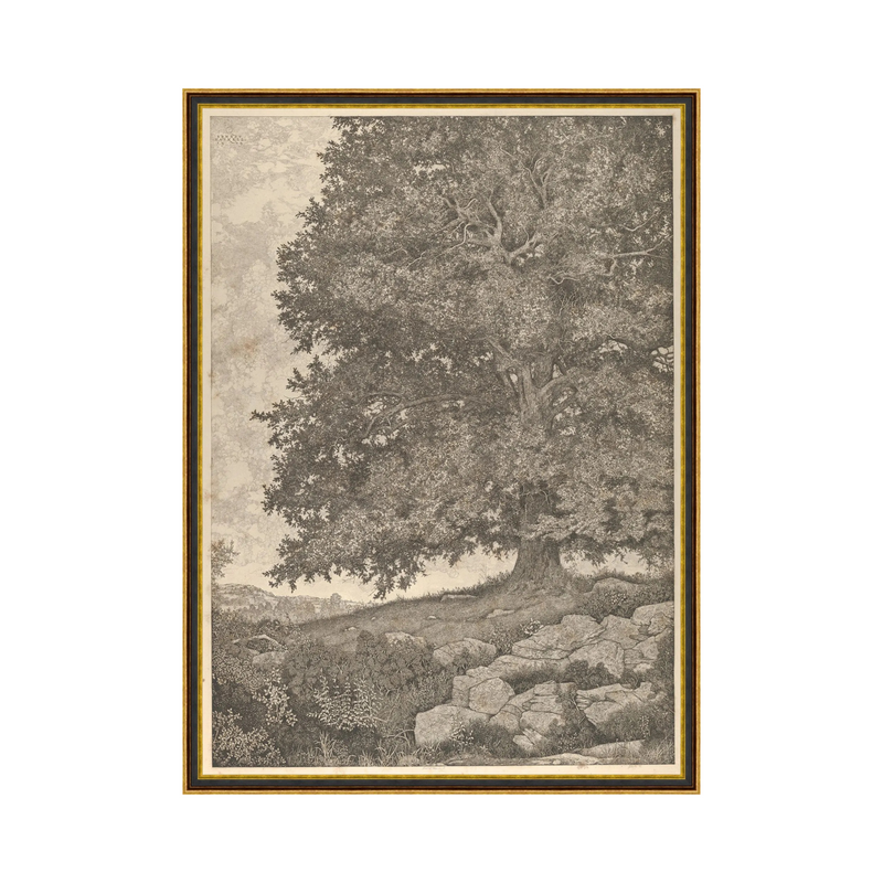 Grandfathers Tree