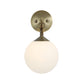 Daphne Wall Sconce