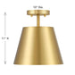 Cone 1-Light Ceiling Light