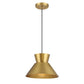 Arco 1-Light Pendant