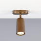 Evanston Directional Ceiling Light