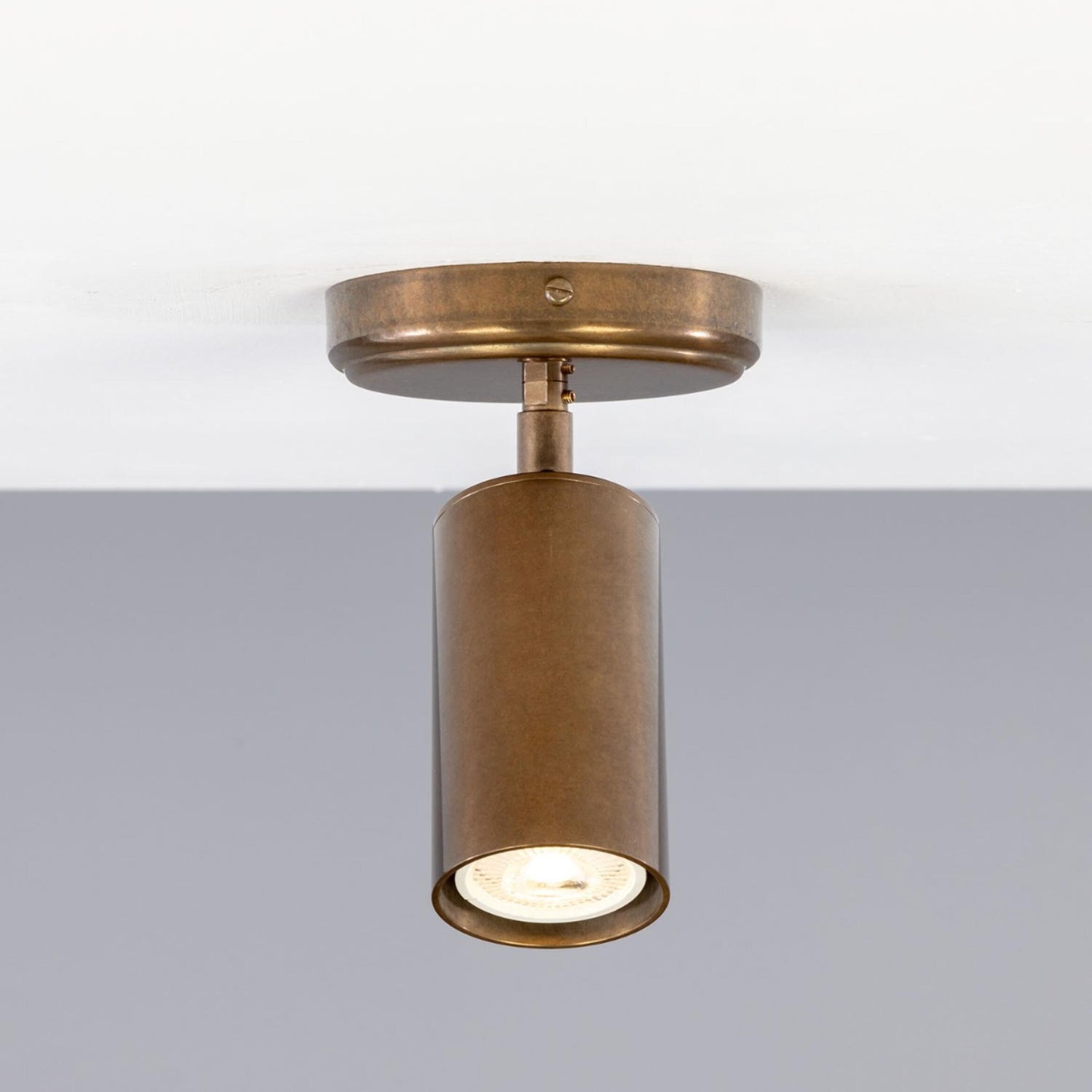 Evanston Directional Ceiling Light