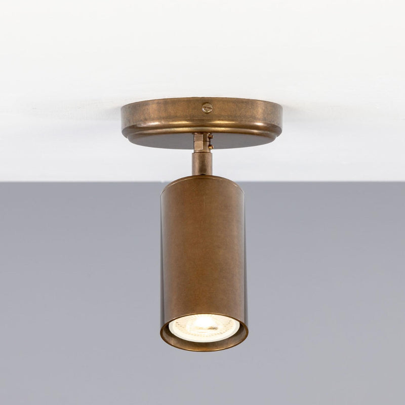 Evanston Directional Ceiling Light
