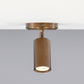 Evanston Directional Ceiling Light
