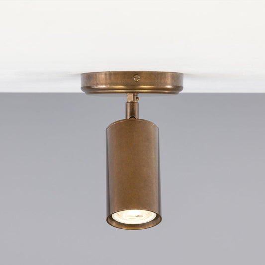 Evanston Directional Ceiling Light