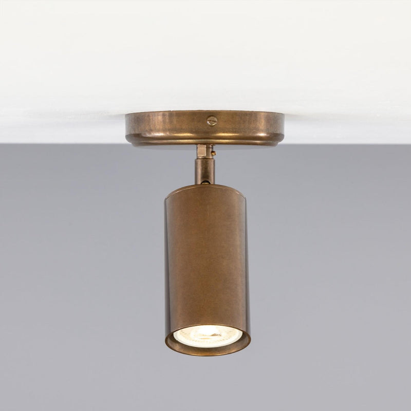 Evanston Directional Ceiling Light