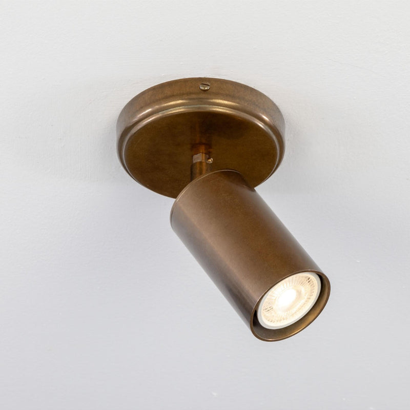Evanston Directional Ceiling Light