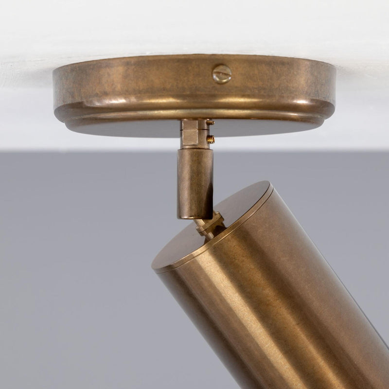Evanston Directional Ceiling Light